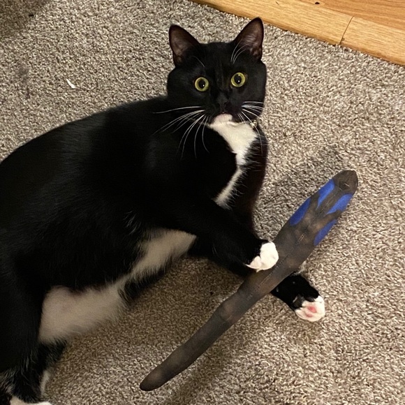 Meet your Posher, Leah - Picture 1 of 1